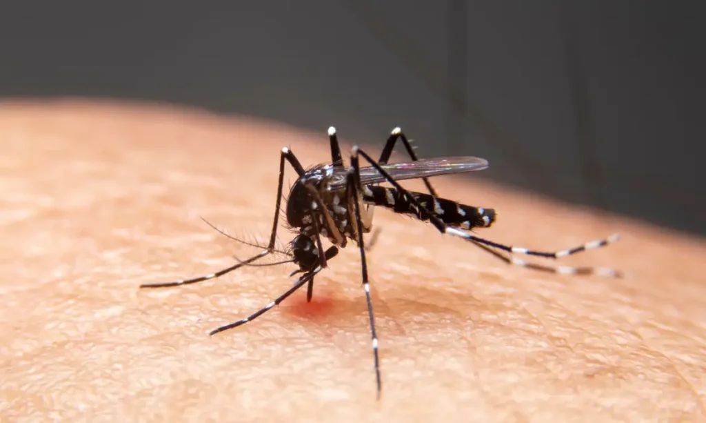 Avanço de doenças infecciosas no Brasil desafia especialistas devido ao clima