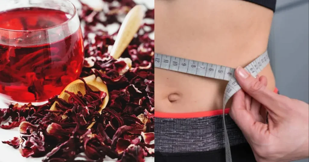 Efeitos do chá de hibisco na cintura são esclarecidos por especialistas em saúde