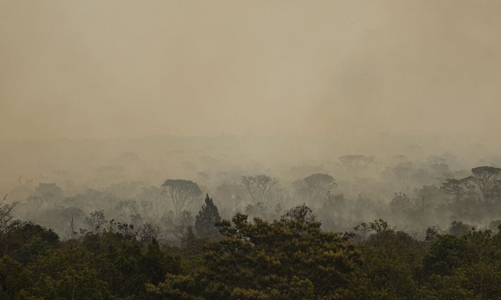Força Nacional do SUS instala base em Manaus para atender vítimas de incêndios