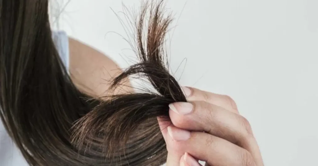 Guia prático para eliminar as pontas duplas do cabelo em casa