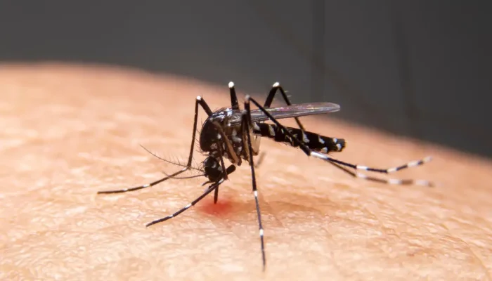 Avanço de doenças infecciosas no Brasil desafia especialistas devido ao clima