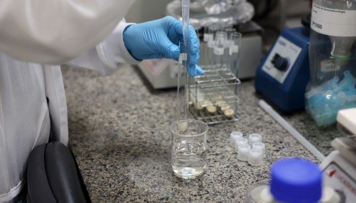 Doença de Newcastle em Santa Catarina avança com controle sanitário rigoroso
