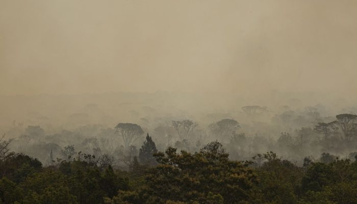 Força Nacional do SUS instala base em Manaus para atender vítimas de incêndios