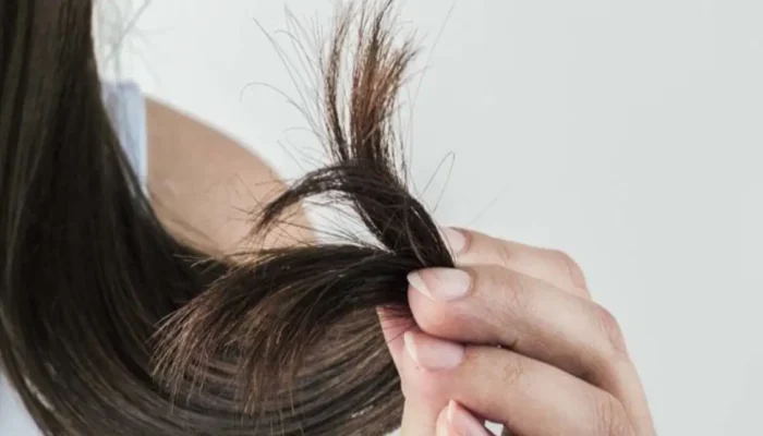 Guia prático para eliminar as pontas duplas do cabelo em casa